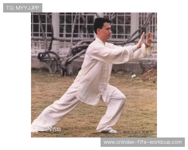 全面掌握以太极拳基础动作与实用练习技巧全解